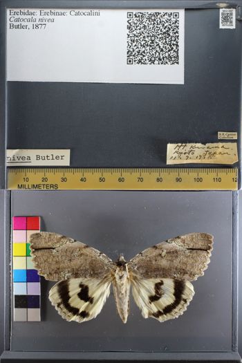 Media type: image;   Entomology 751026